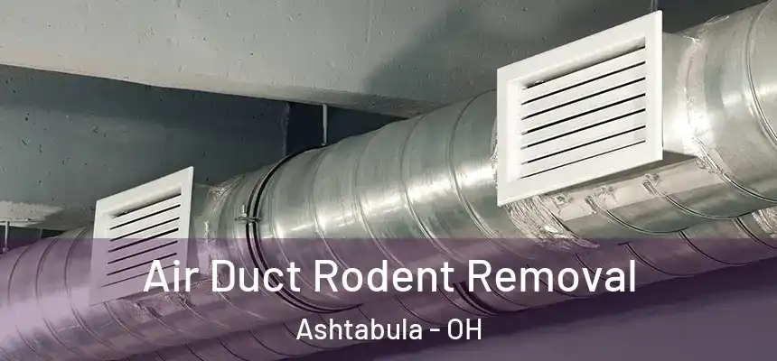  Air Duct Rodent Removal Ashtabula - OH