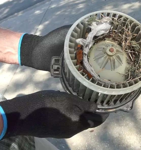 About Air Duct Mice Removal in Ashtabula, OH